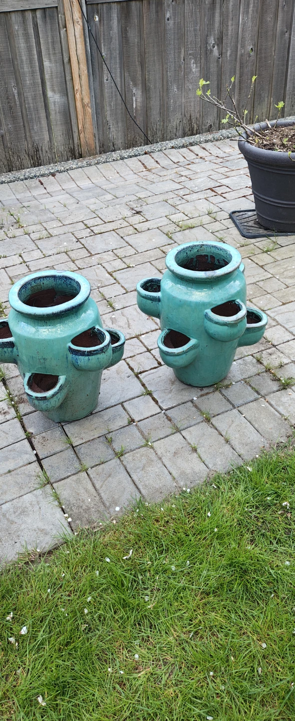 2 Teal Ceramic Strawberry Planters