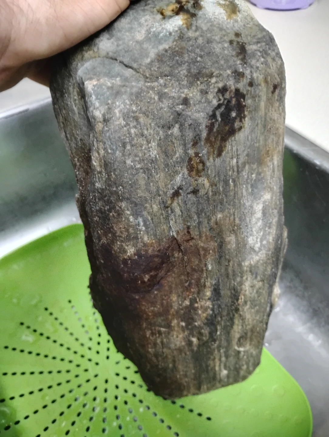Large Petrified Wood Specimen - photo 5