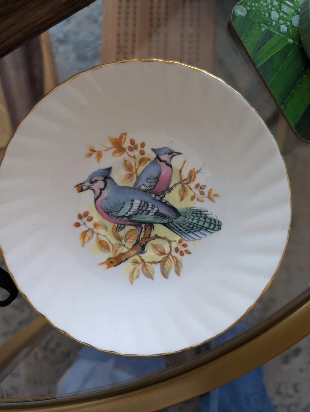 Queen's Fine Bone China Saucer - Birds of America Series I