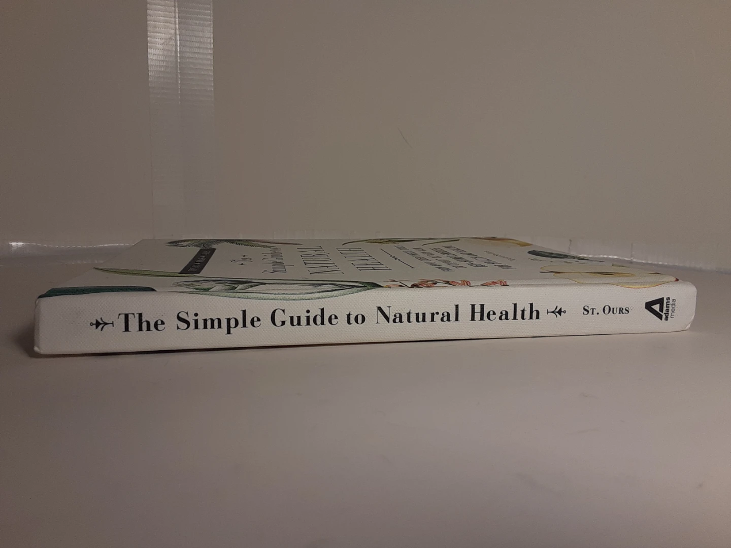 The Simple Guide to Natural Health - photo 2