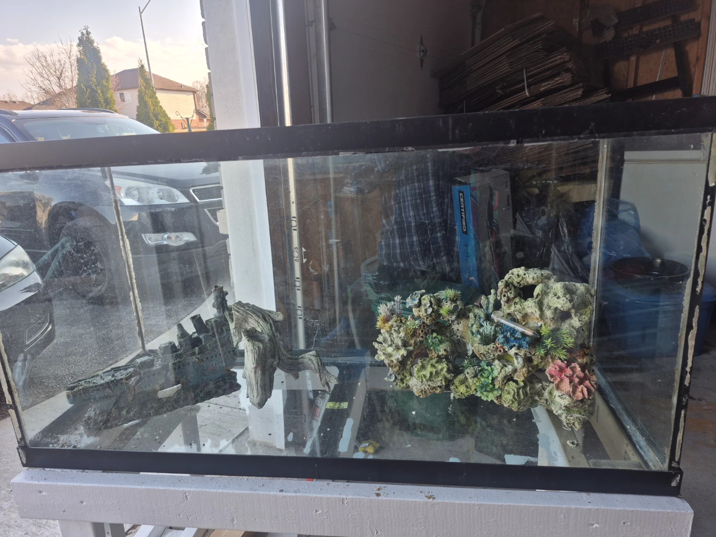 Fish Tank Aquarium 50 Gallon free ornaments