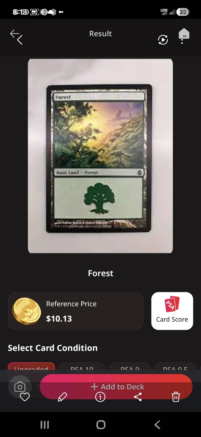 Magic: The Gathering Forest Basic Land Card