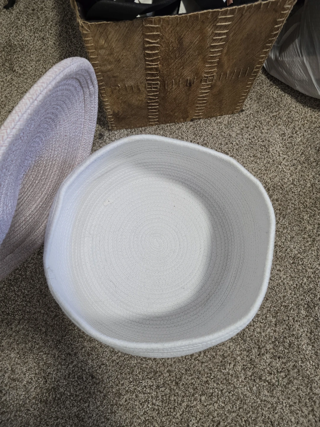 Mushroom storage bin - photo 3