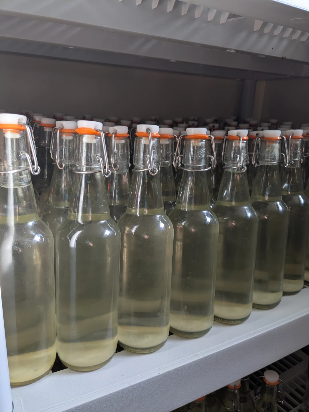 Glass Swing Top Bottles