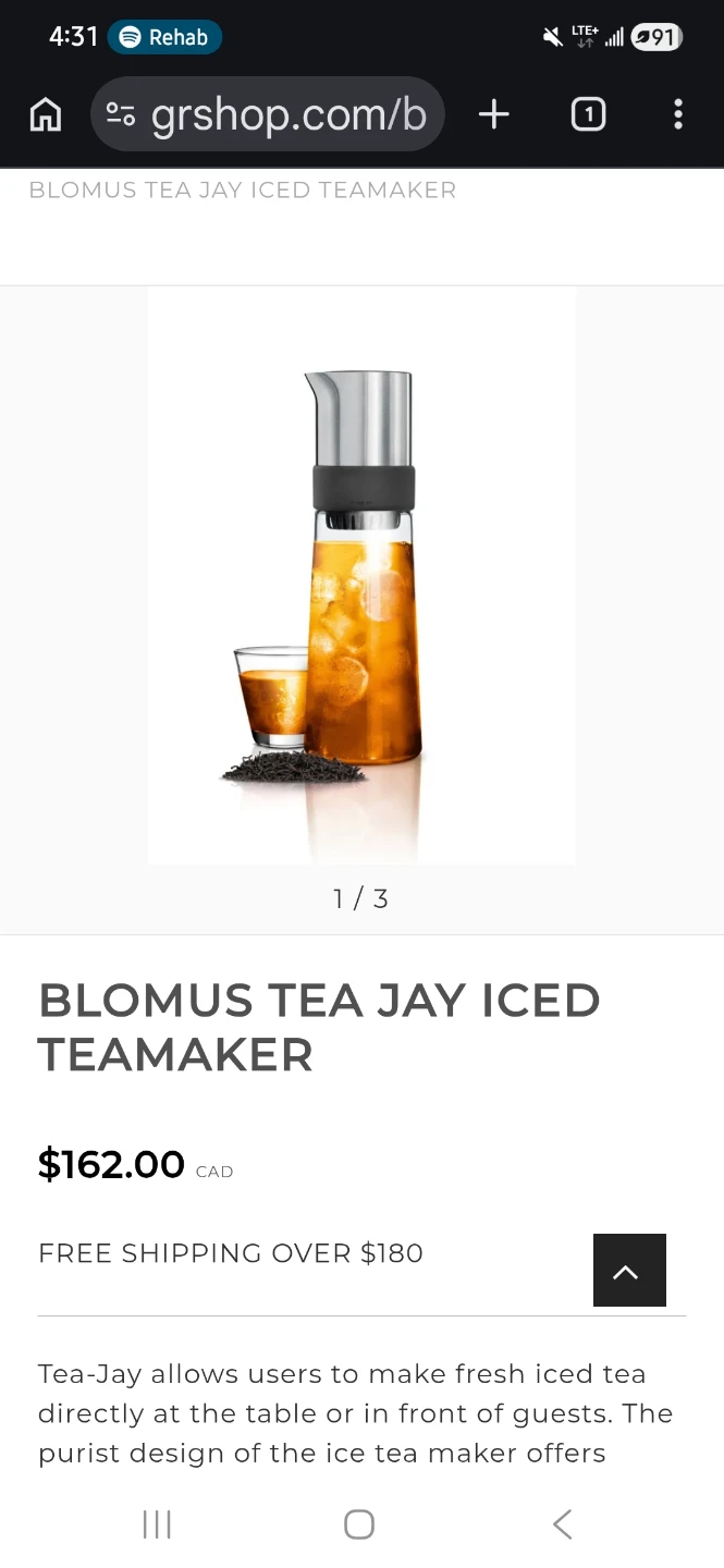 Blomus Iced Teamaker - photo 3
