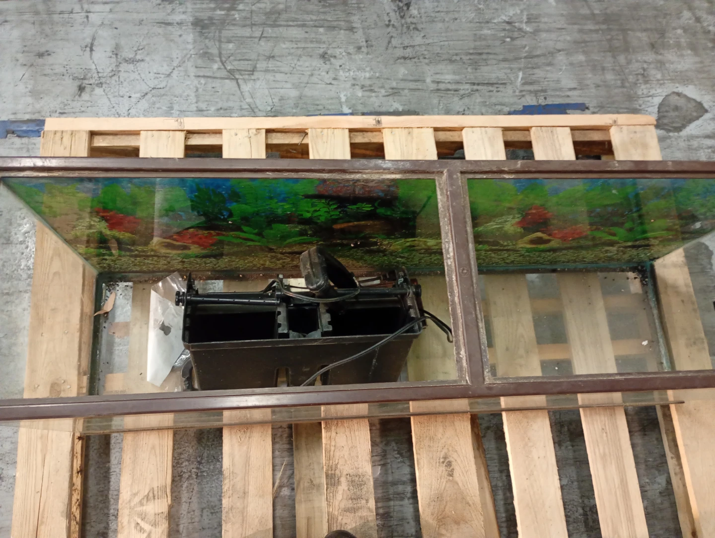 Glass Aquarium Tank with Filter - photo 2