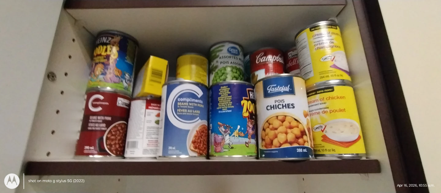 Canned food