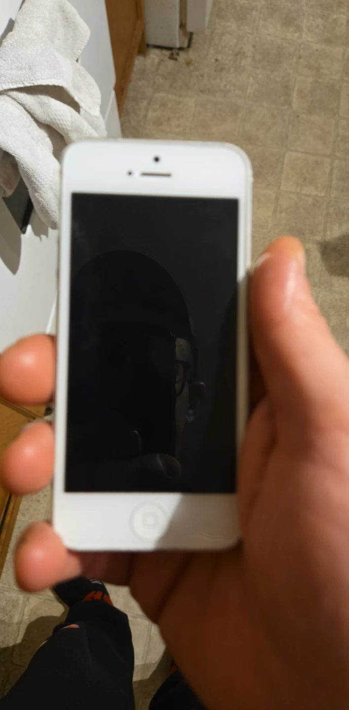 Apple iPhone 5s