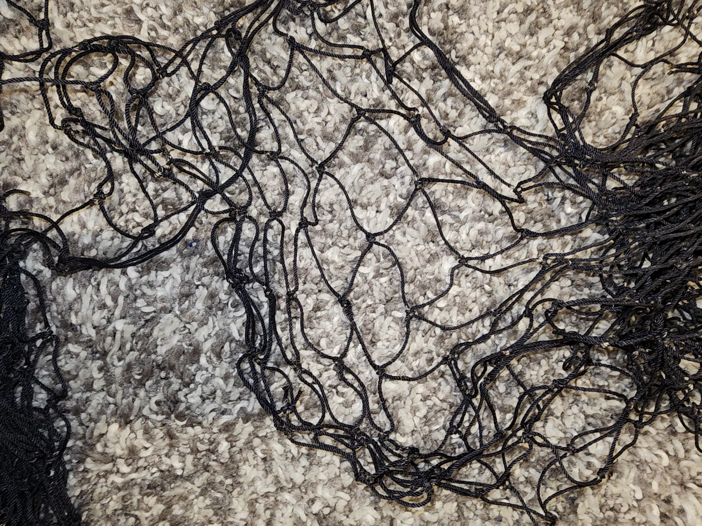Black Net - photo 2