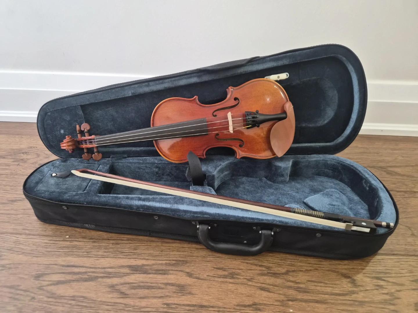 Violin with Case and Bow