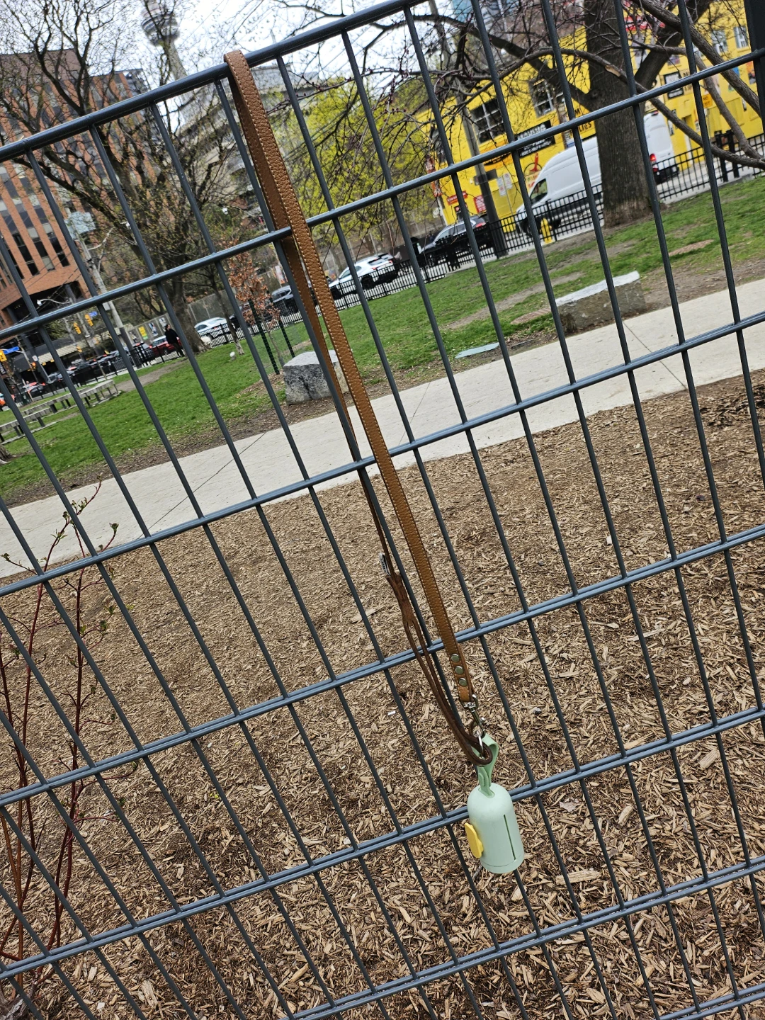 Dog Leash with Poop Bag Dispenser