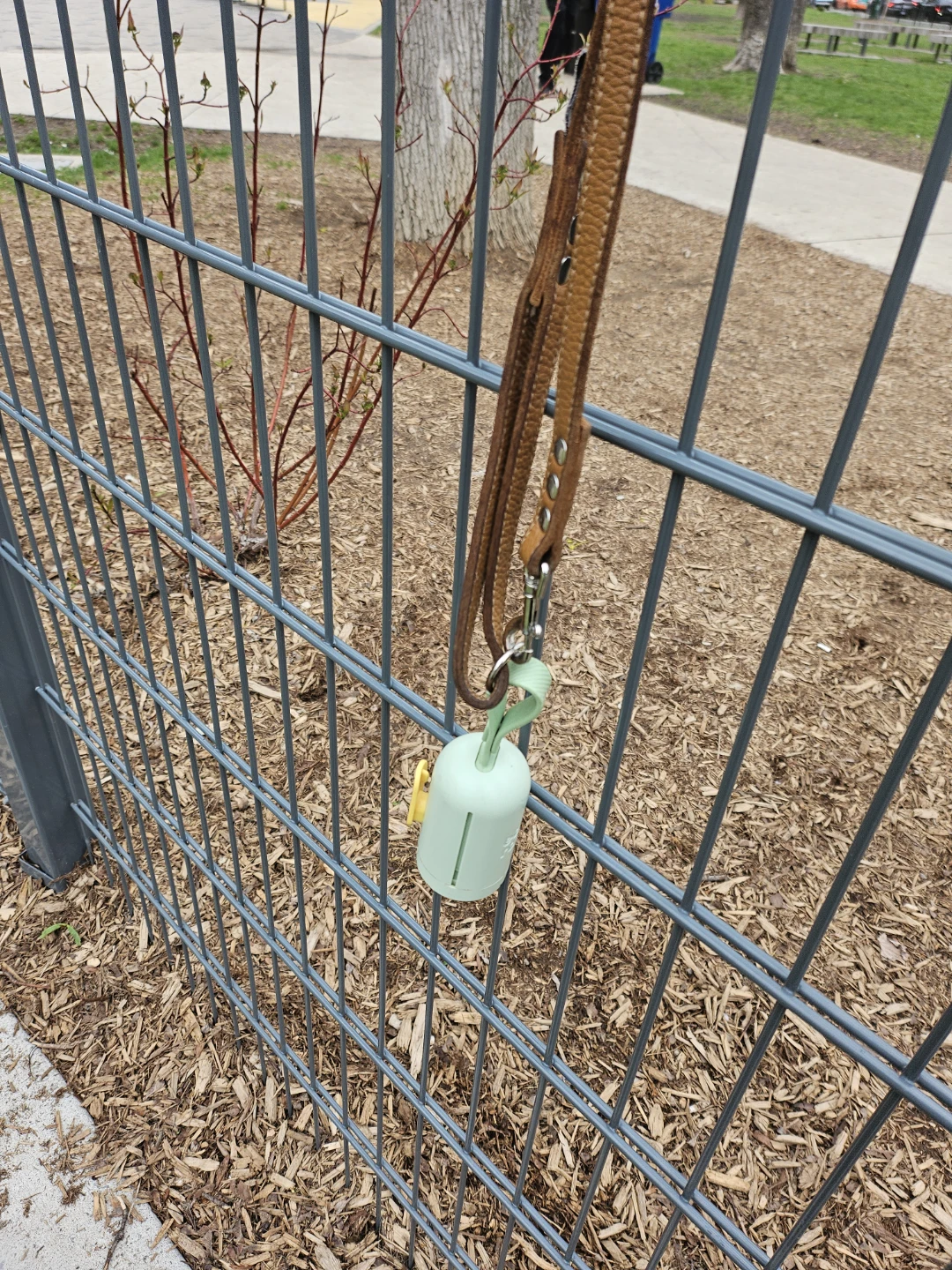 Dog Leash with Poop Bag Dispenser - photo 3