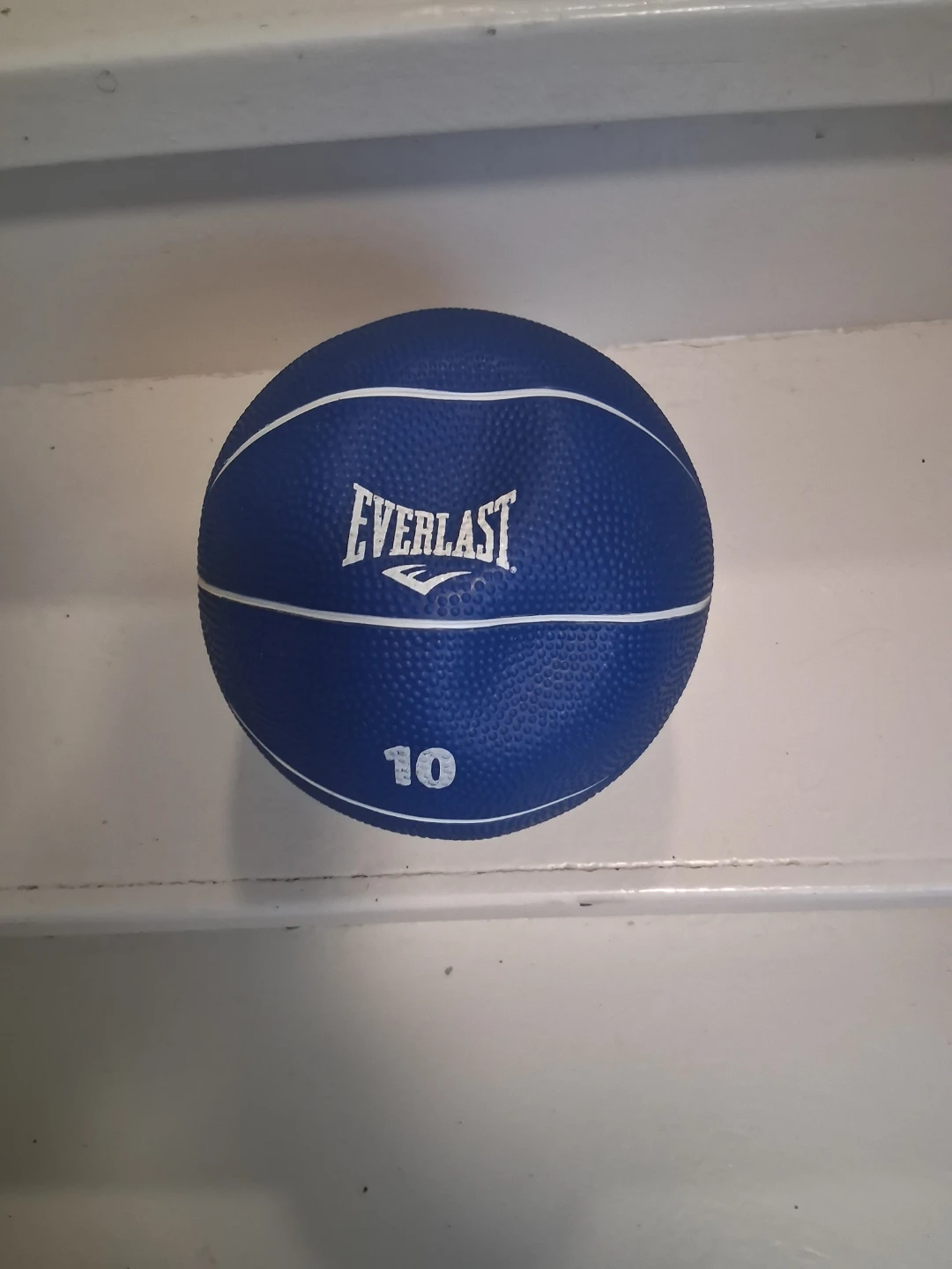 Everlast 10 lb Medicine Ball