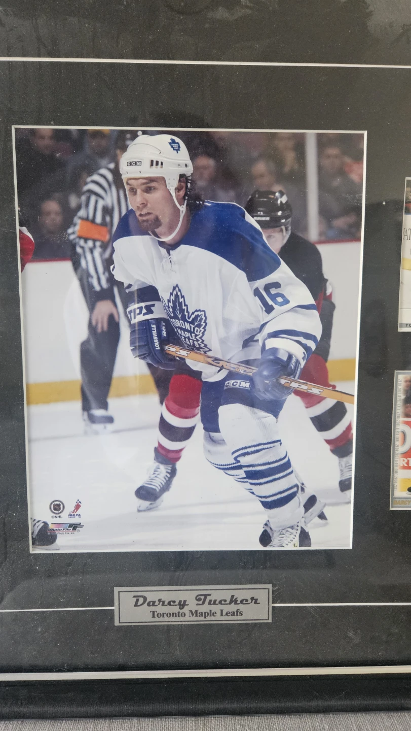 Darcy Tucker Toronto Maple Leafs Framed Hockey Card Display - photo 2