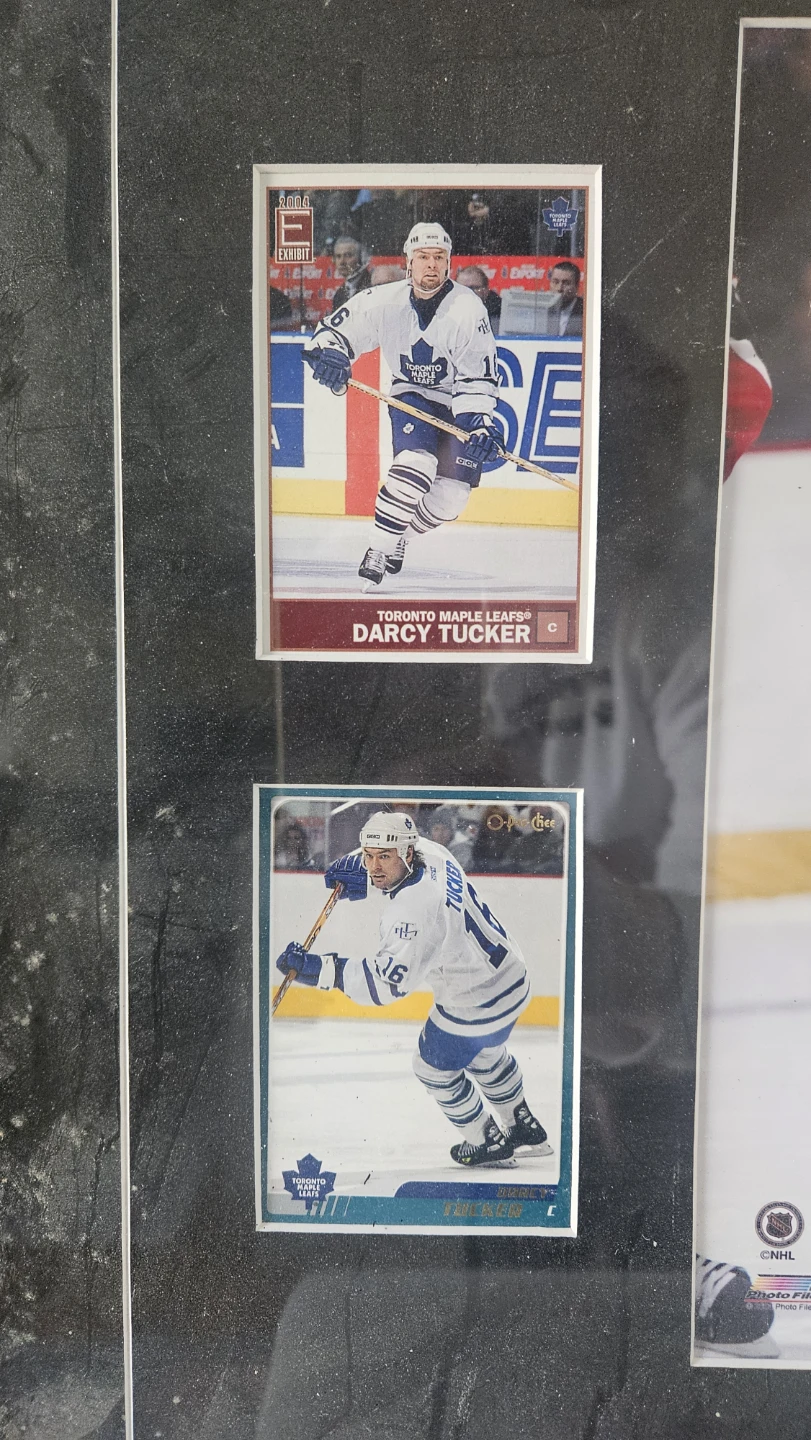 Darcy Tucker Toronto Maple Leafs Framed Hockey Card Display - photo 3