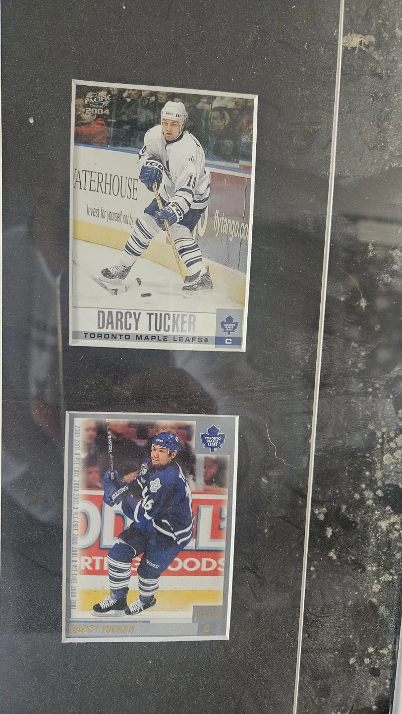 Darcy Tucker Toronto Maple Leafs Framed Hockey Card Display - photo 4