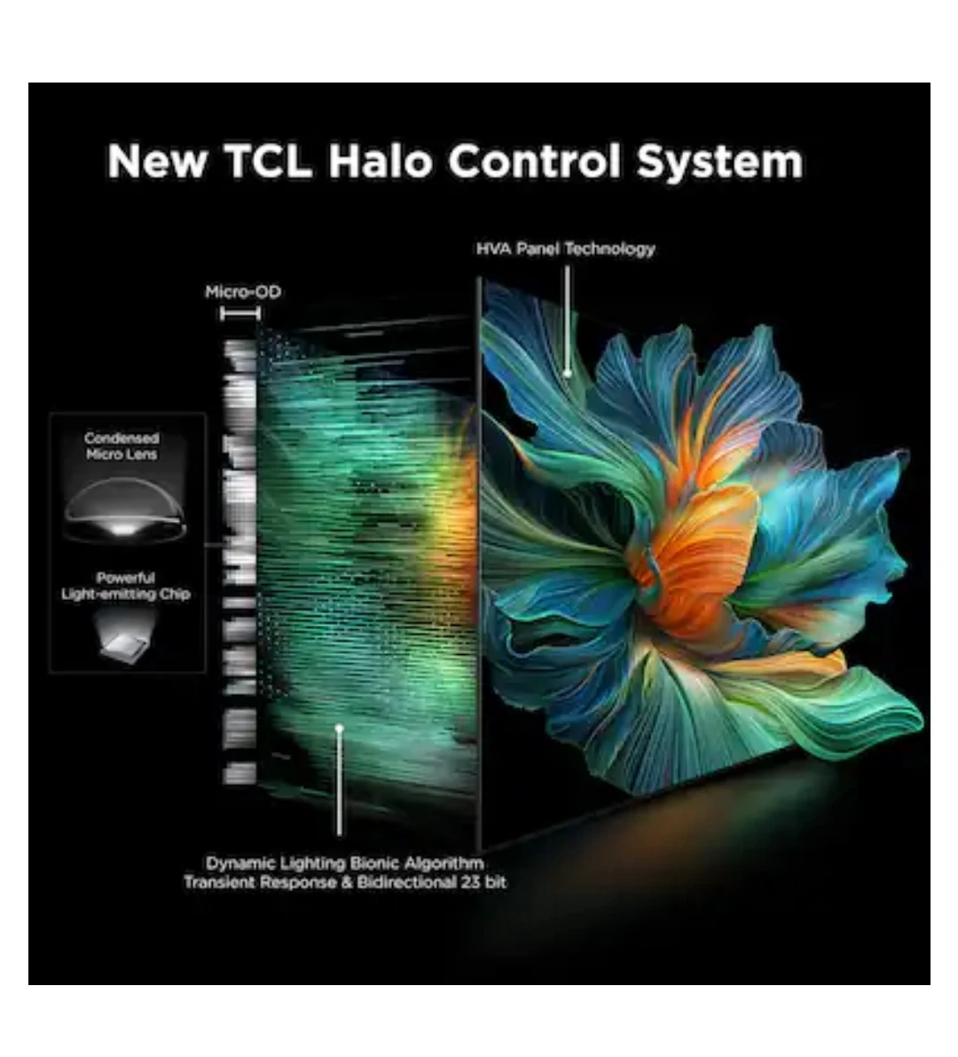 TCL 64.5" QD-Mini LED 4K Qm6K(QM63K) TV - photo 3