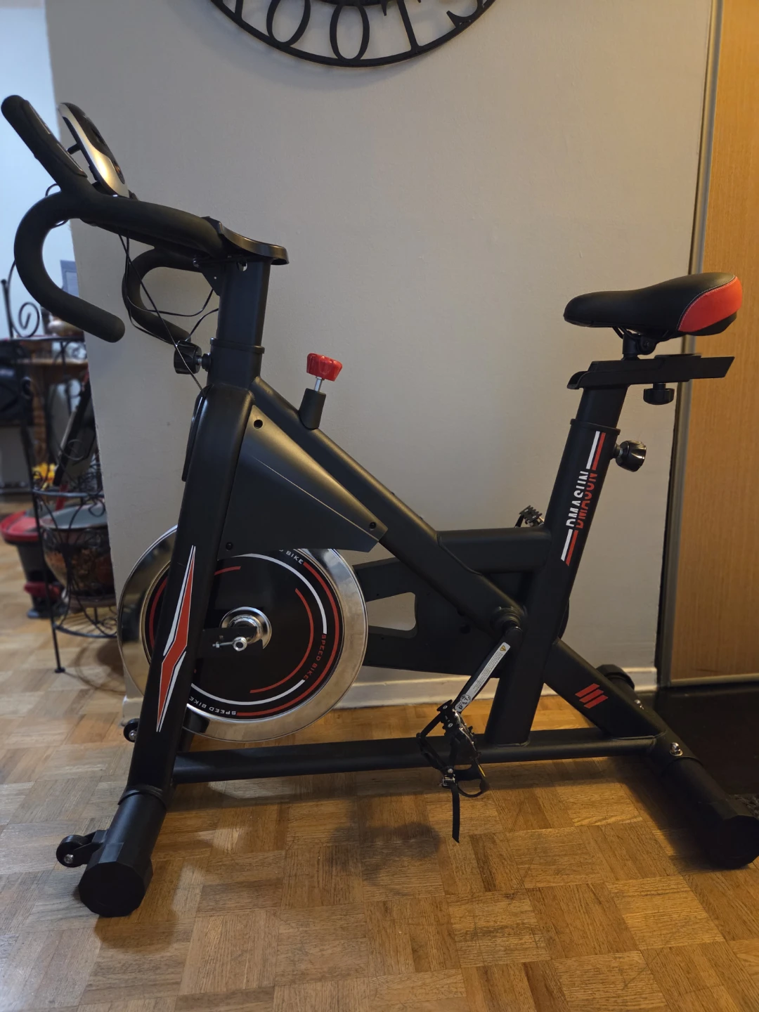 Dmasun Spin Bike