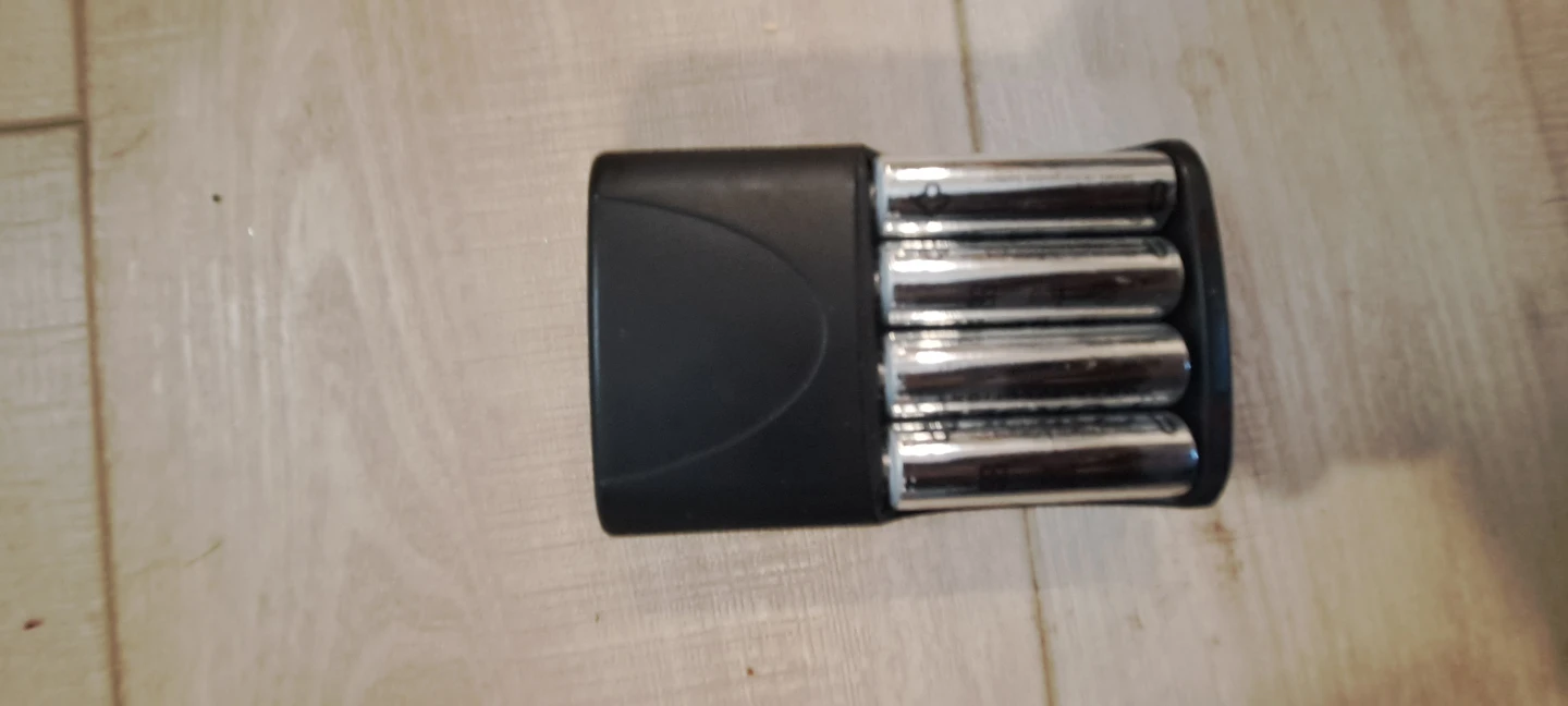 Forsee Power Battery Charger with Batteries - photo 2