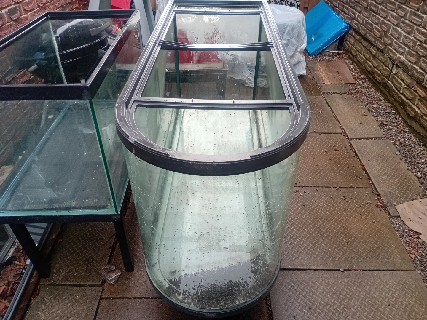 Curved Front Aquarium Tank - photo 4