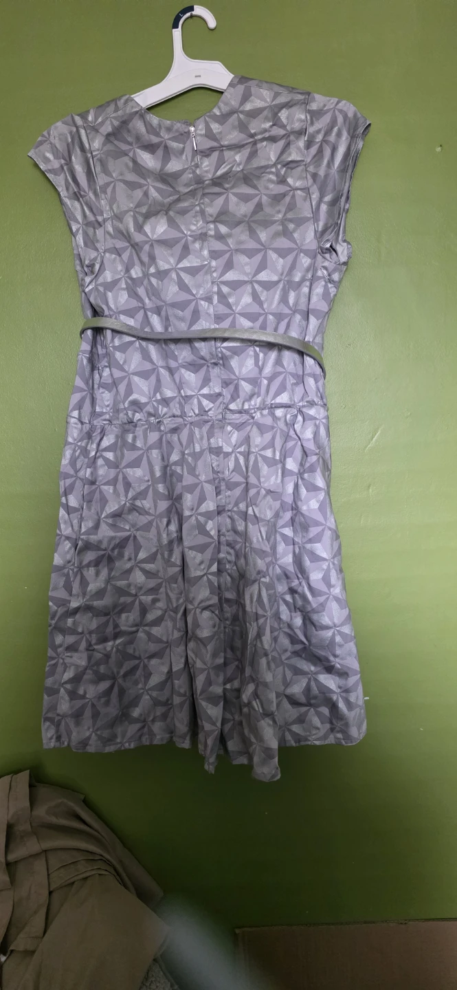 The Dress Shop Silver Epcott Dress - photo 3