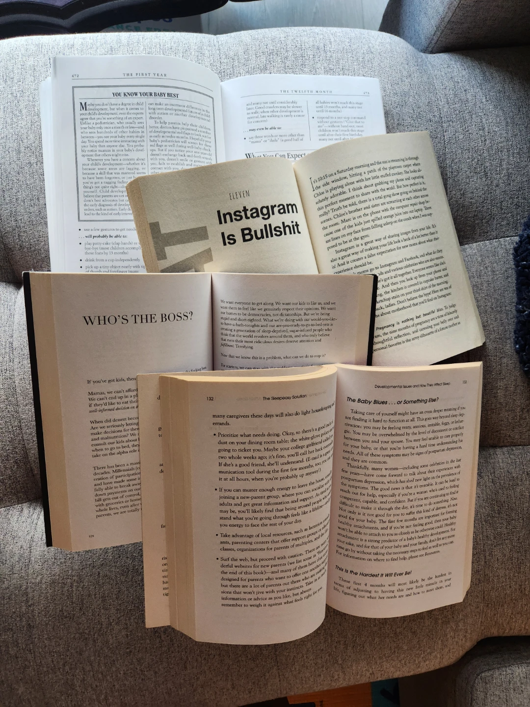 Parenting Book Lot 🌱 - photo 3