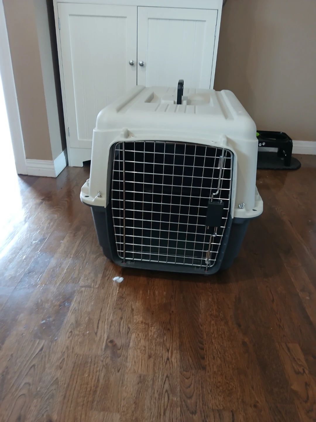 Pet Carrier Crate