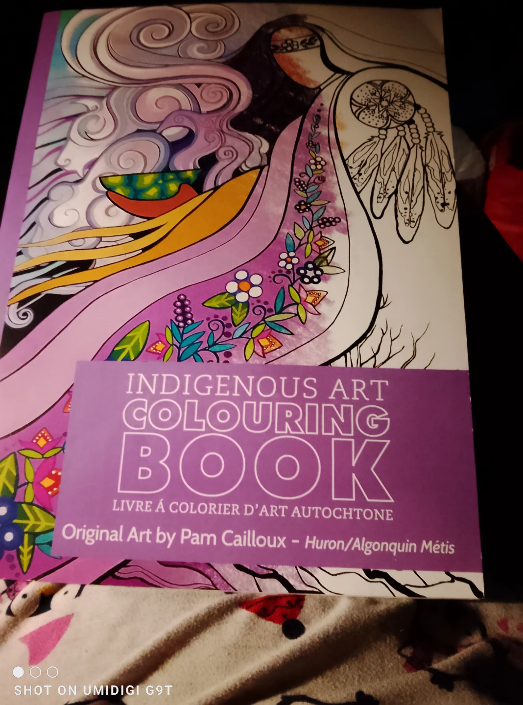 Indigenous Art Colouring Book by Pam Cailloux