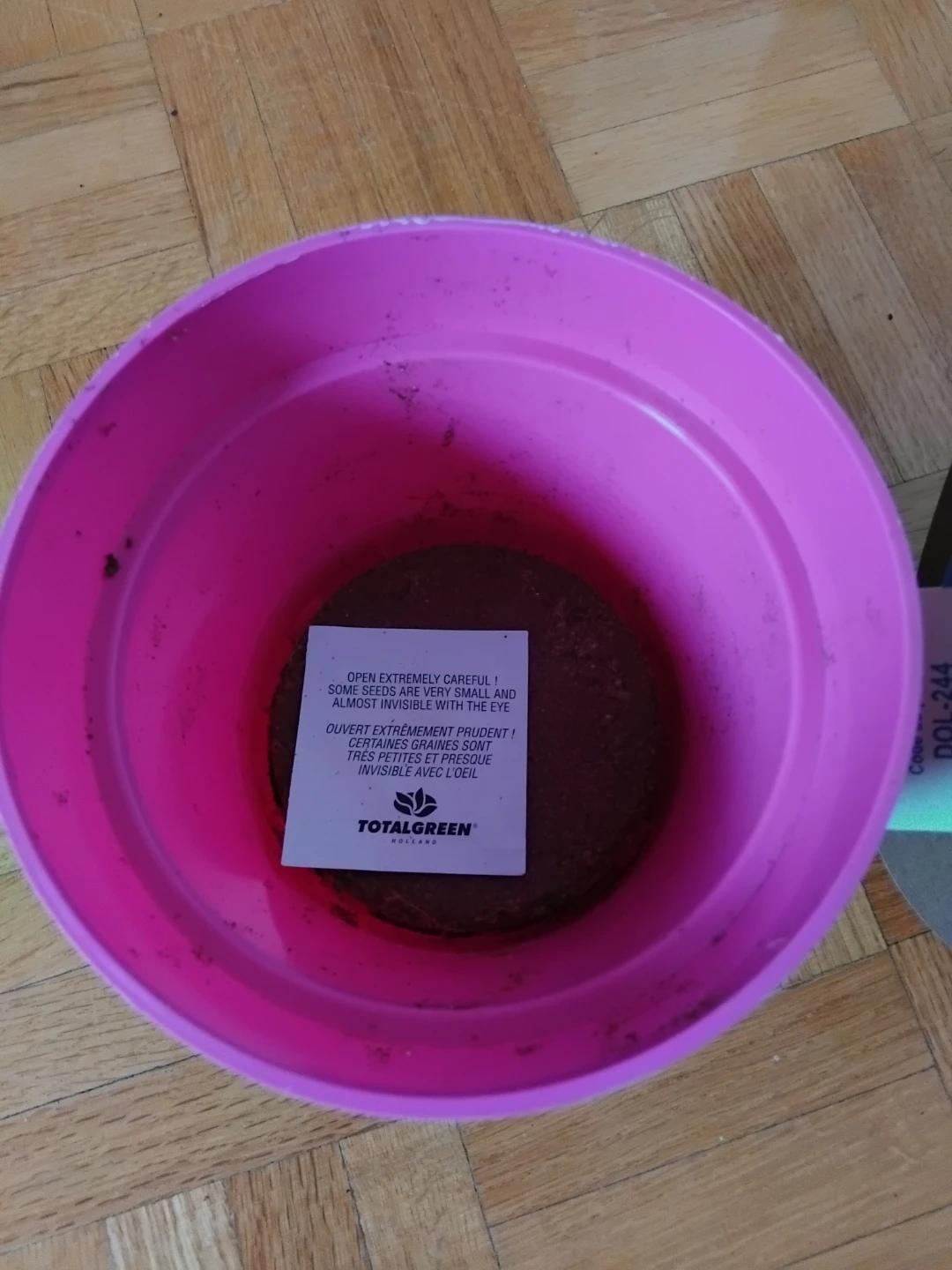 Oregano Grow Kit - photo 3