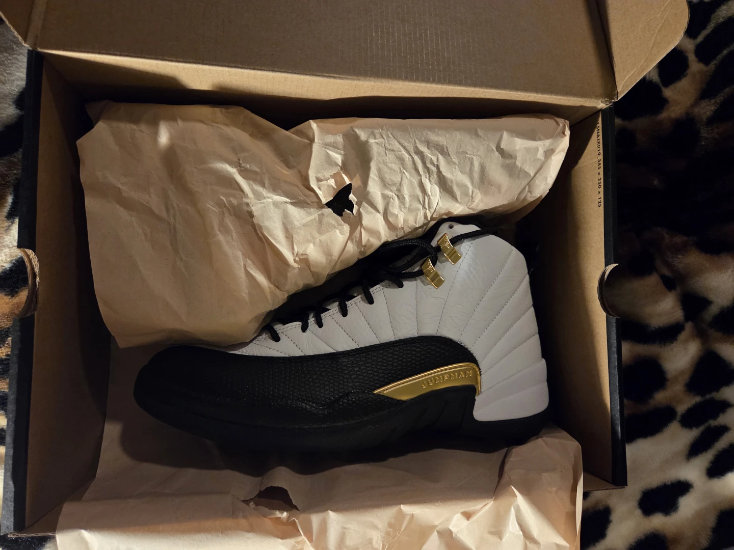 Air Jordan 12 Retro Size 10