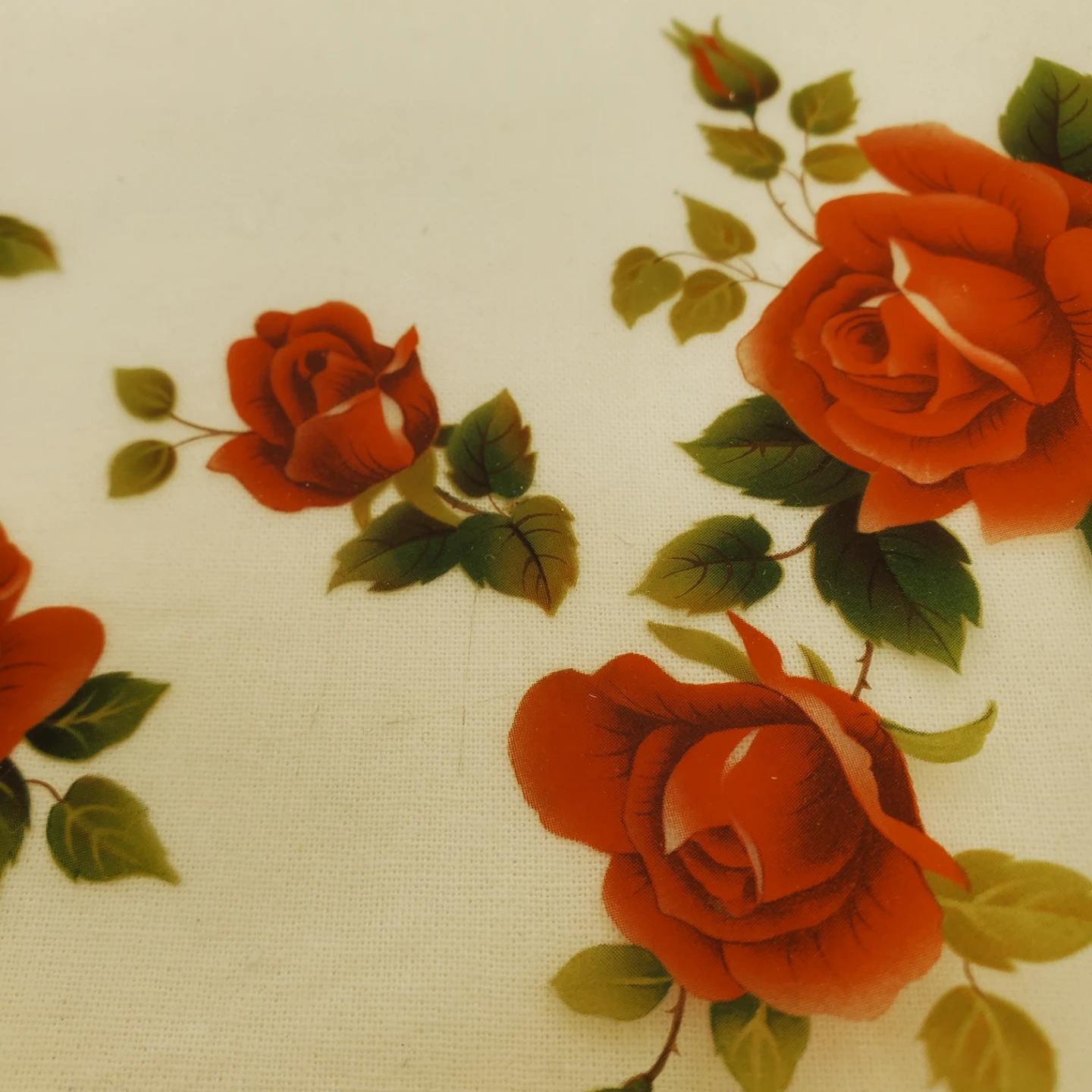 Decorative Rose Plates - photo 3