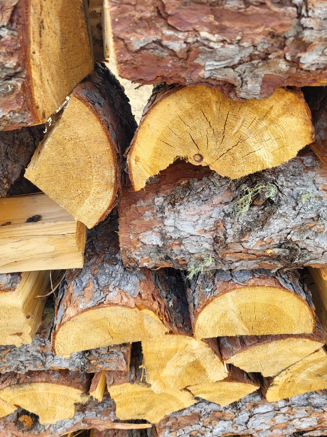 Tamarack firewood - photo 2