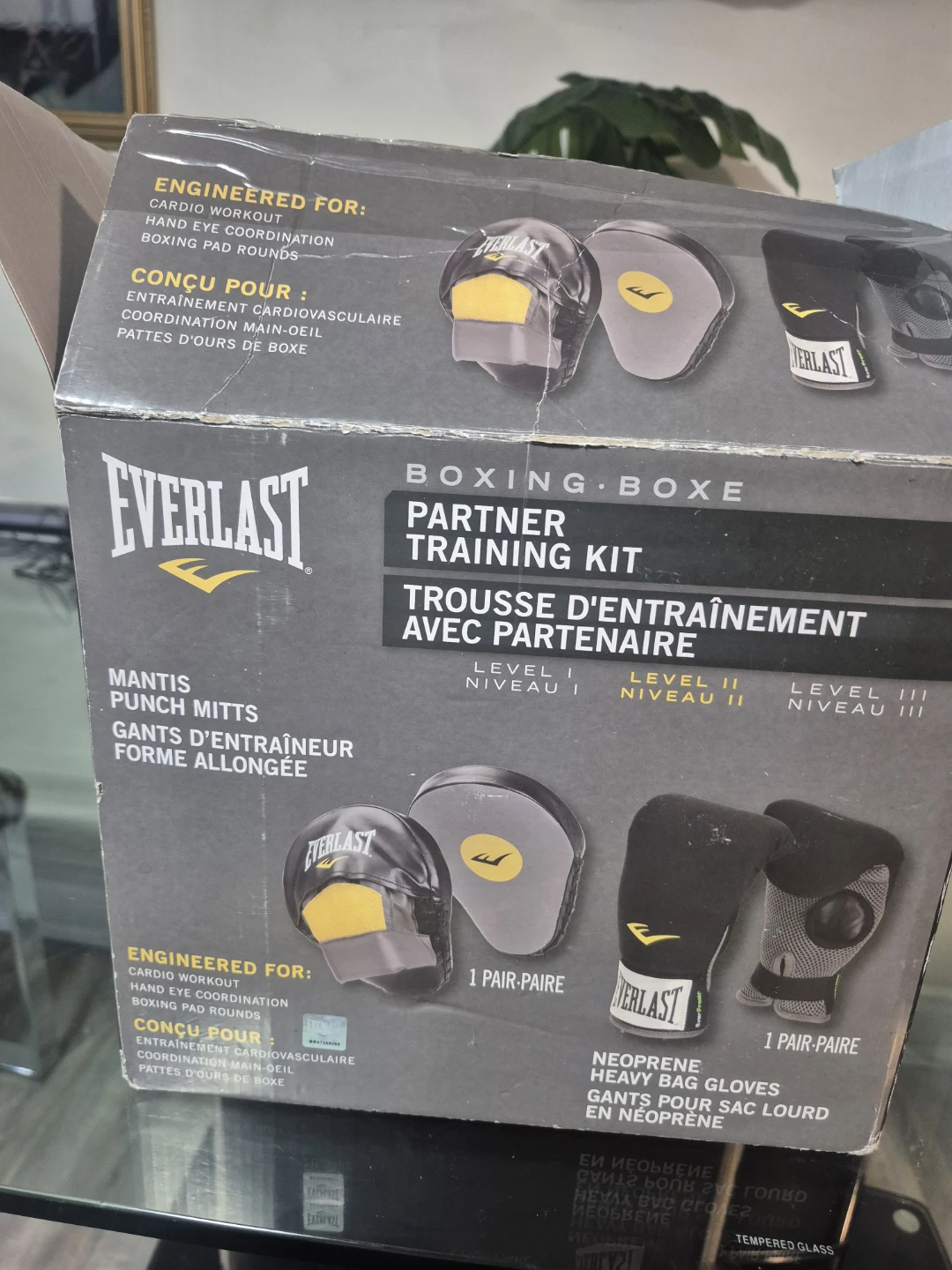 Everlast Boxing Partner Training Kit