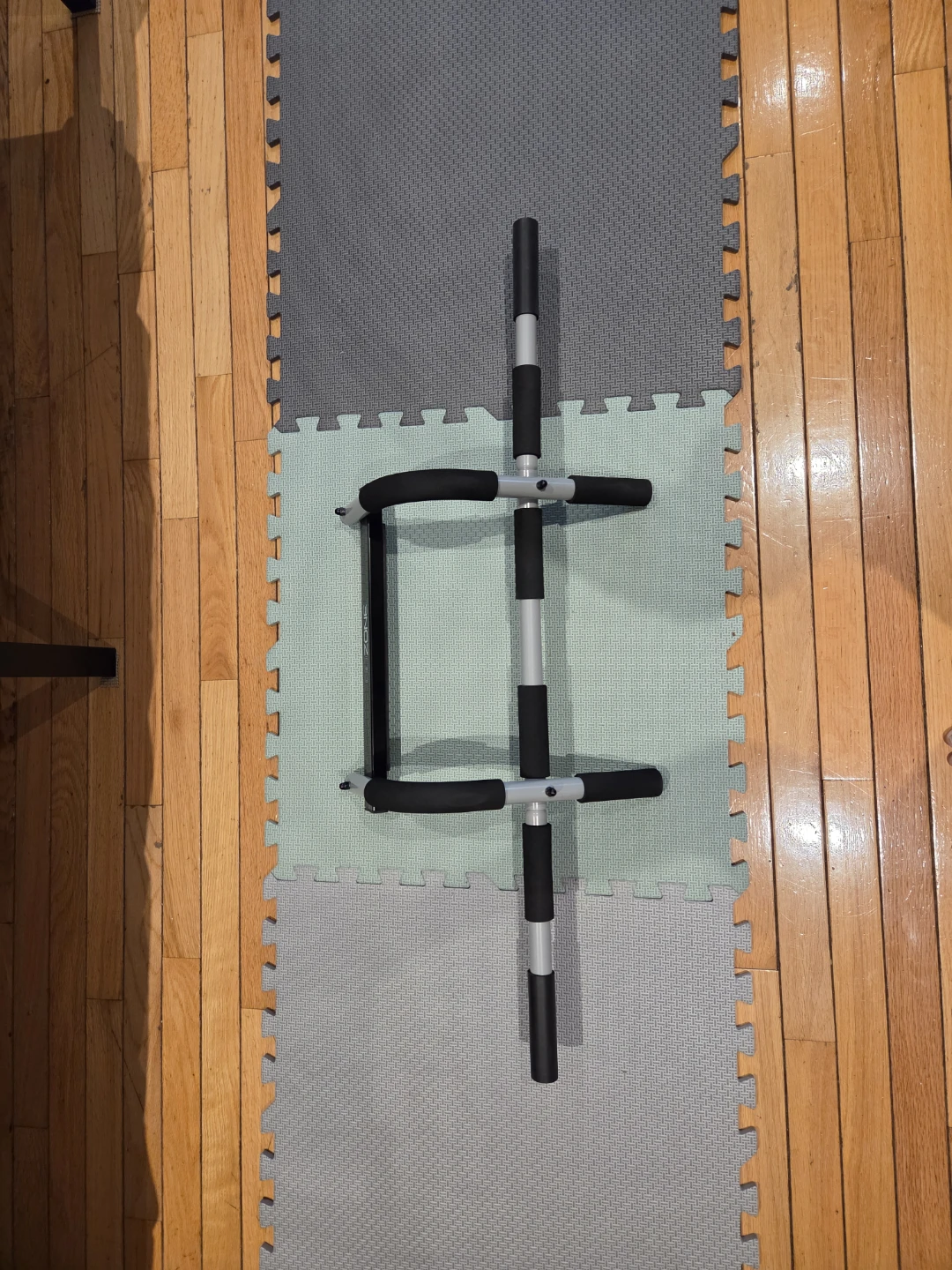 GoZone Doorway Pull-Up Bar