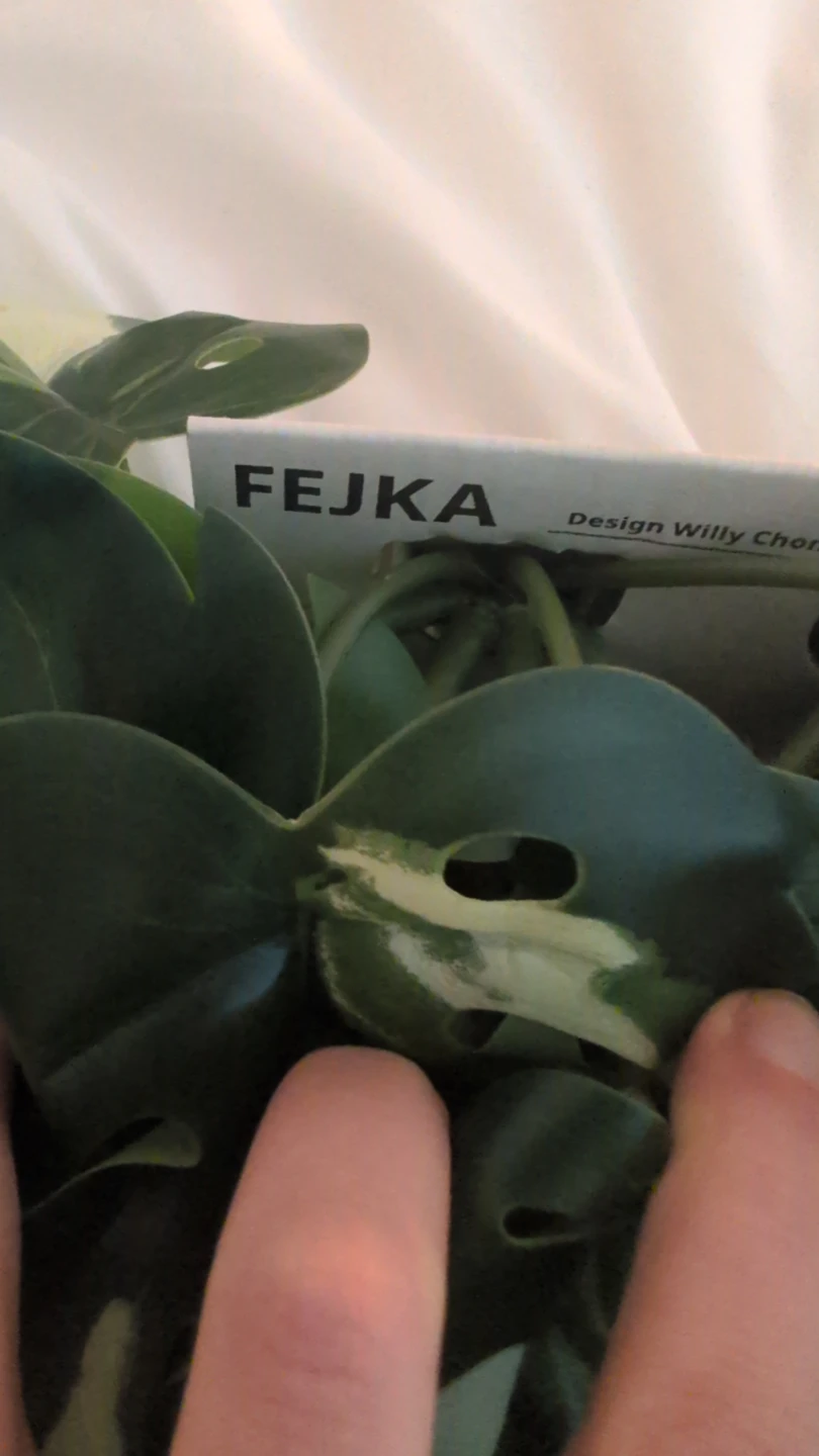 Ikea FEJKA Fake Plants - photo 2