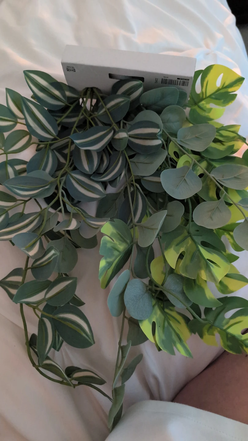 Ikea FEJKA Fake Plants - photo 3