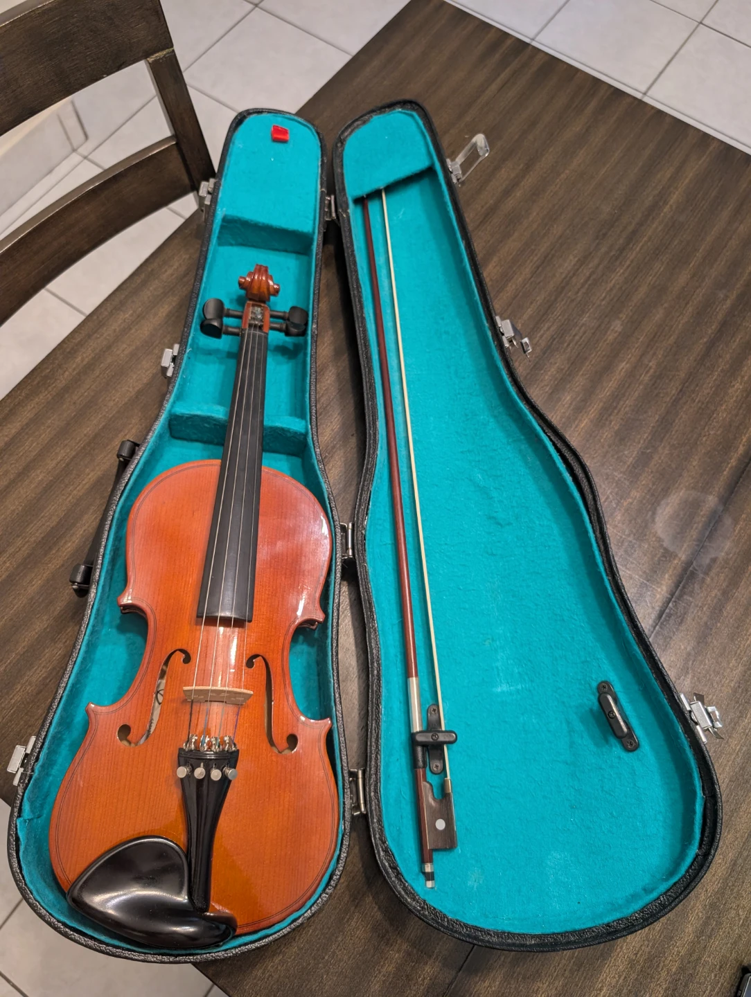 Violin with Case and Bow