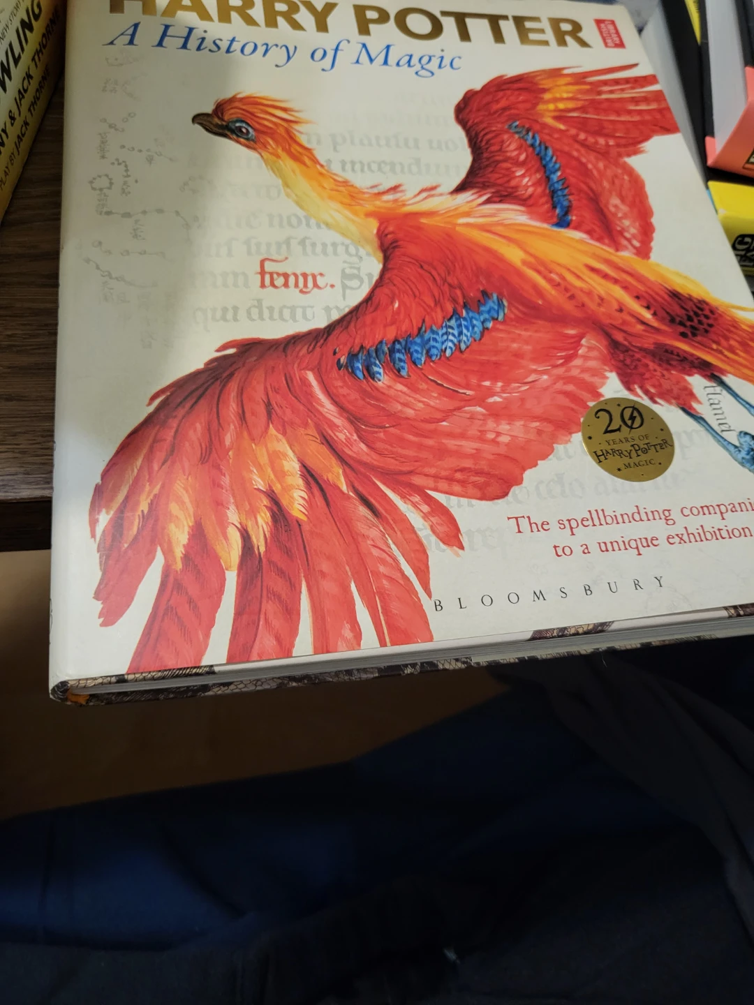 Harry Potter: A History of Magic Book