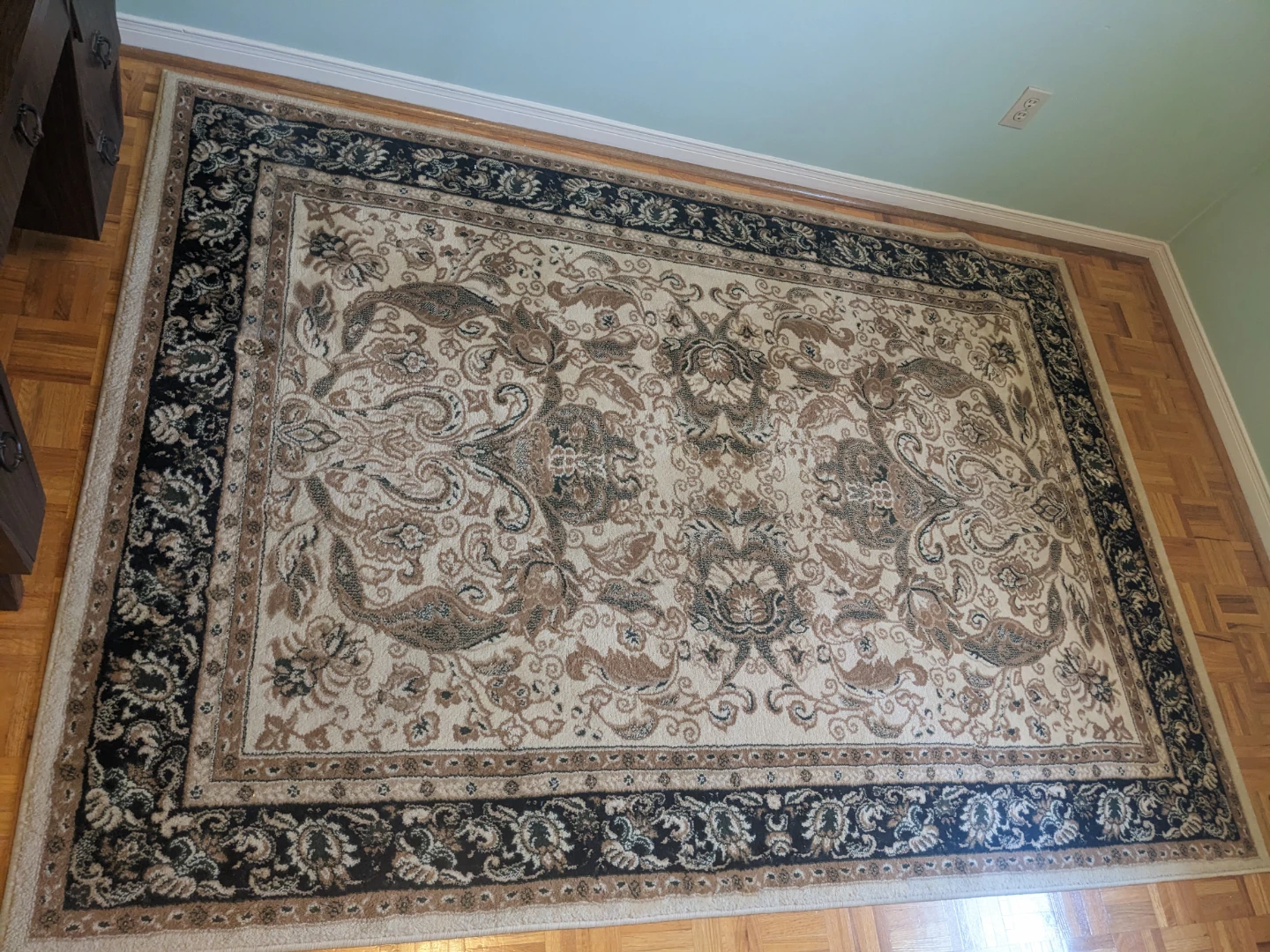 Traditional Oriental Area Rug