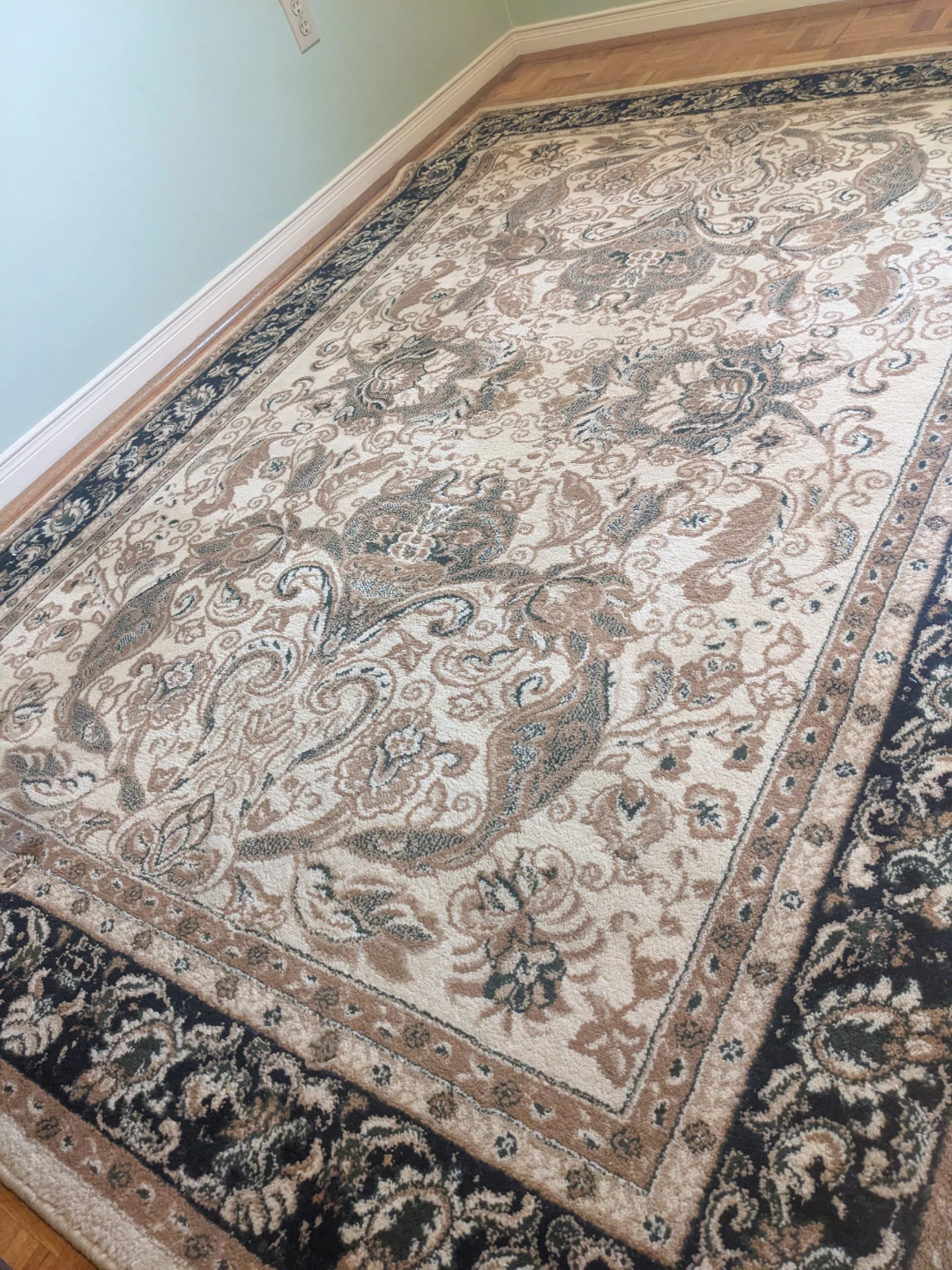 Traditional Oriental Area Rug - photo 3