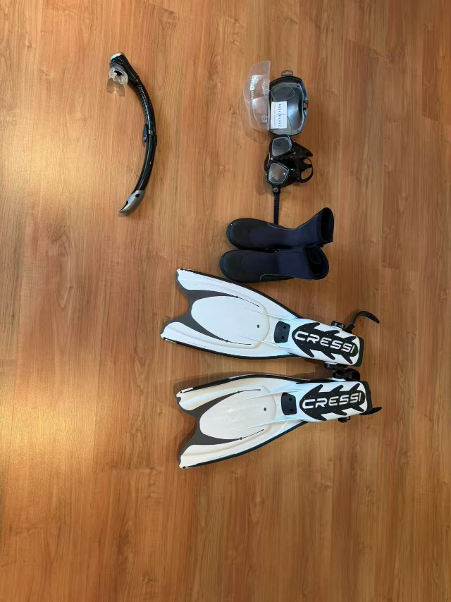 Cressi Snorkel Fins and Aqua Lung Mask Set