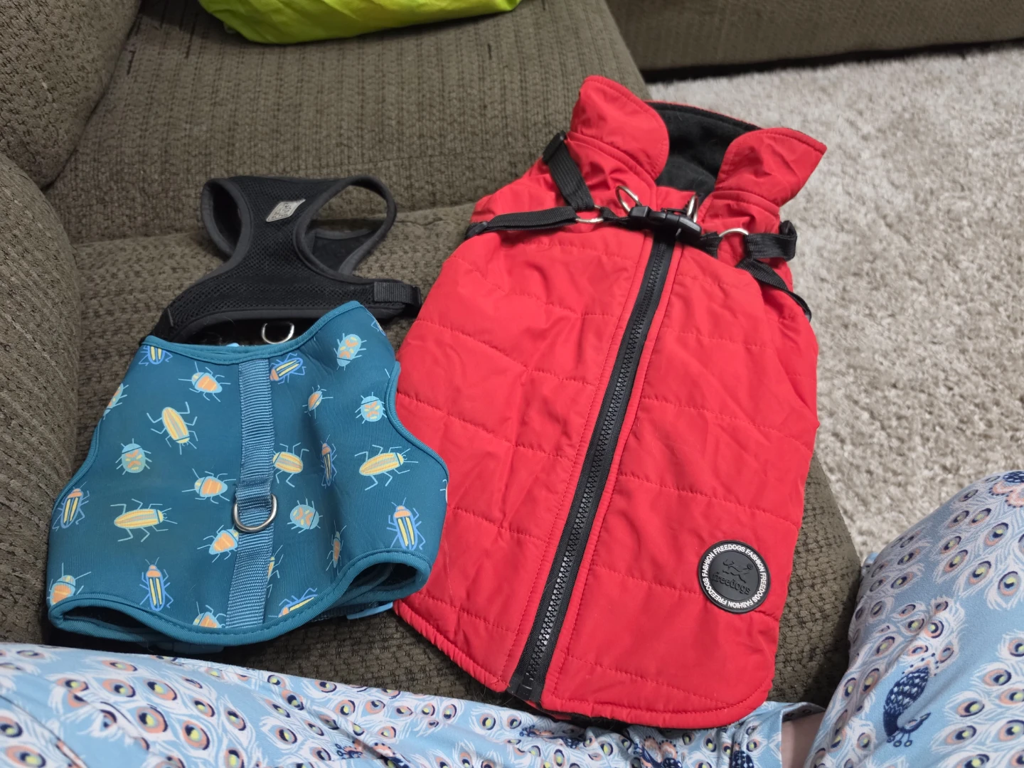 Blue and Red Puffer Dog Coat - photo 3