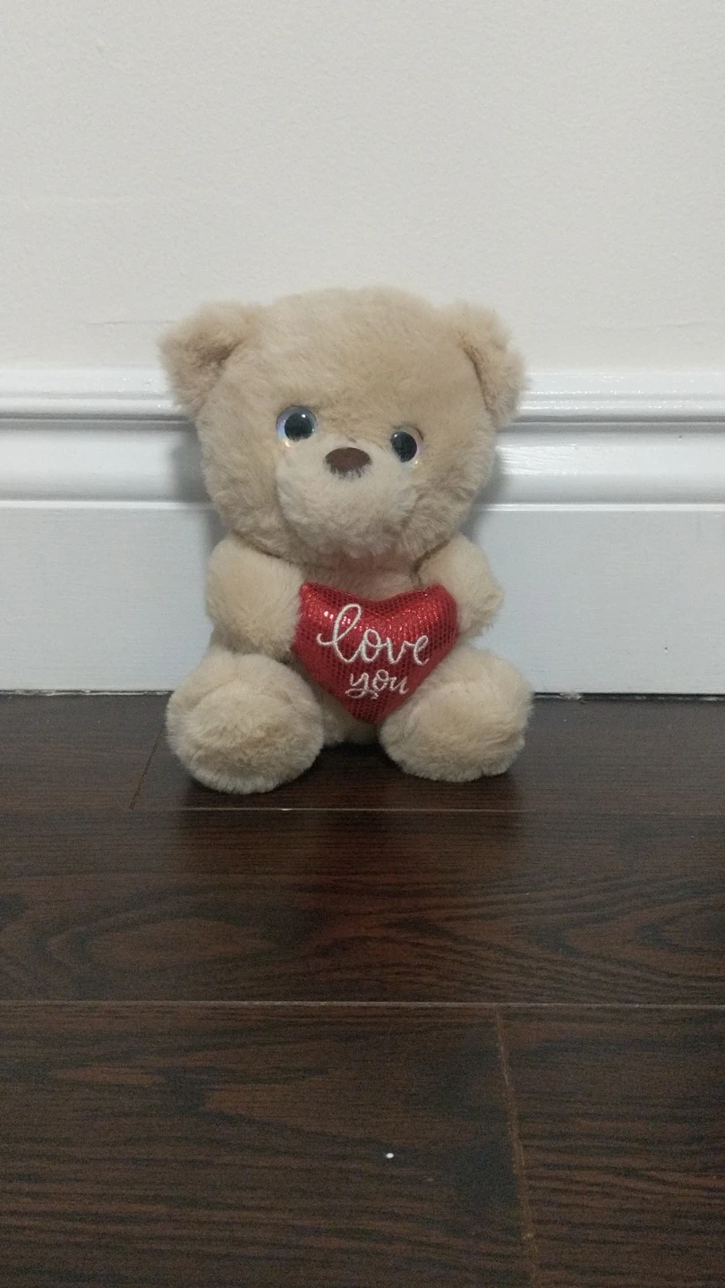 Plush Teddy Bear with "Love You" Heart