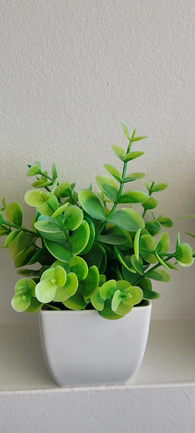 Set of 6 Artificial Potted Plants - photo 5