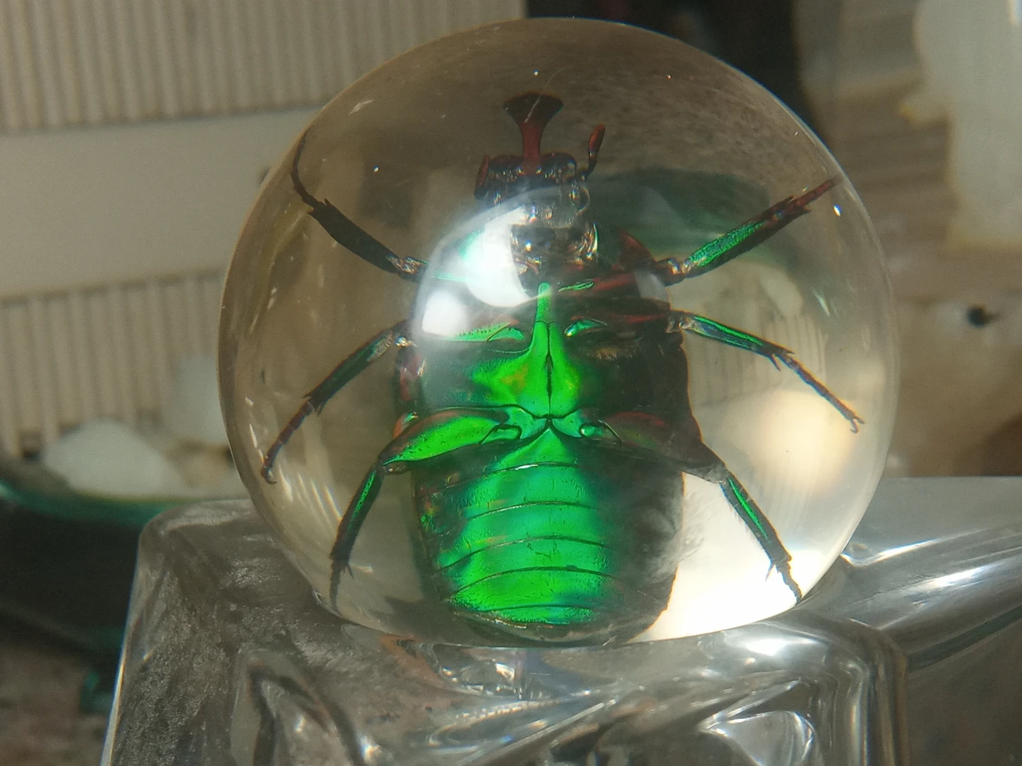 Real Green Beetle Encased in Resin - photo 2