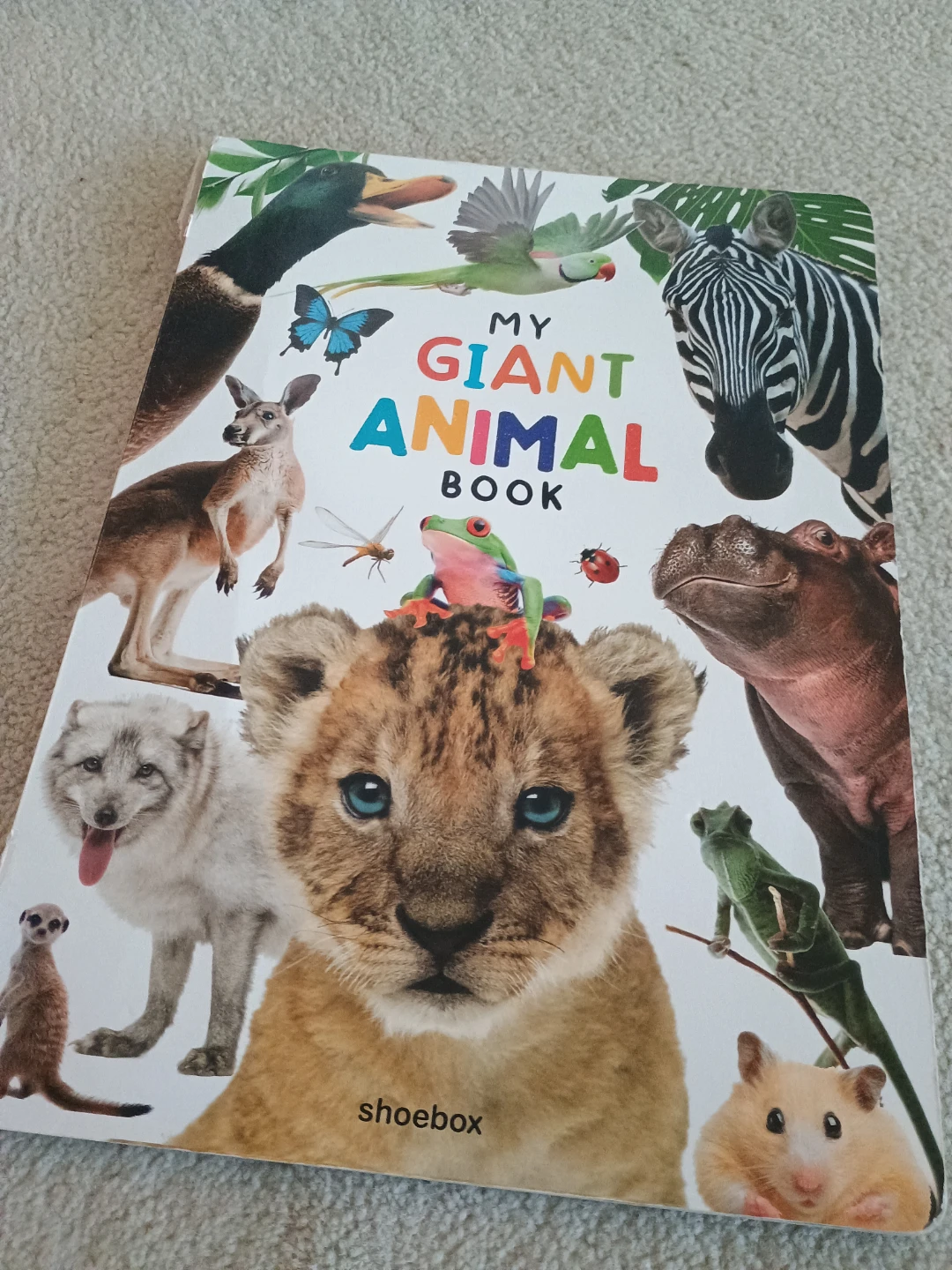 My Giant Animal Book