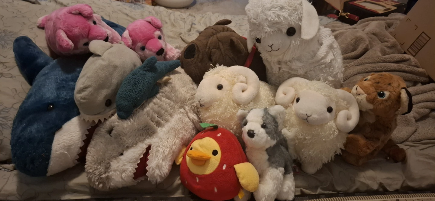 $3 Plushies! Buy 5, get one free! More discounts pls read