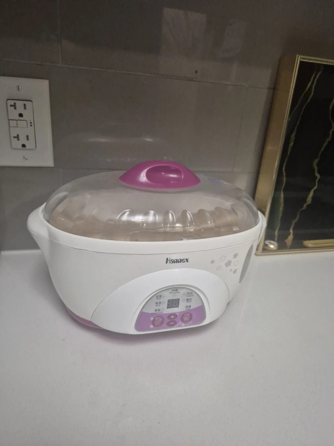 Hannex Steamer/Warmer
