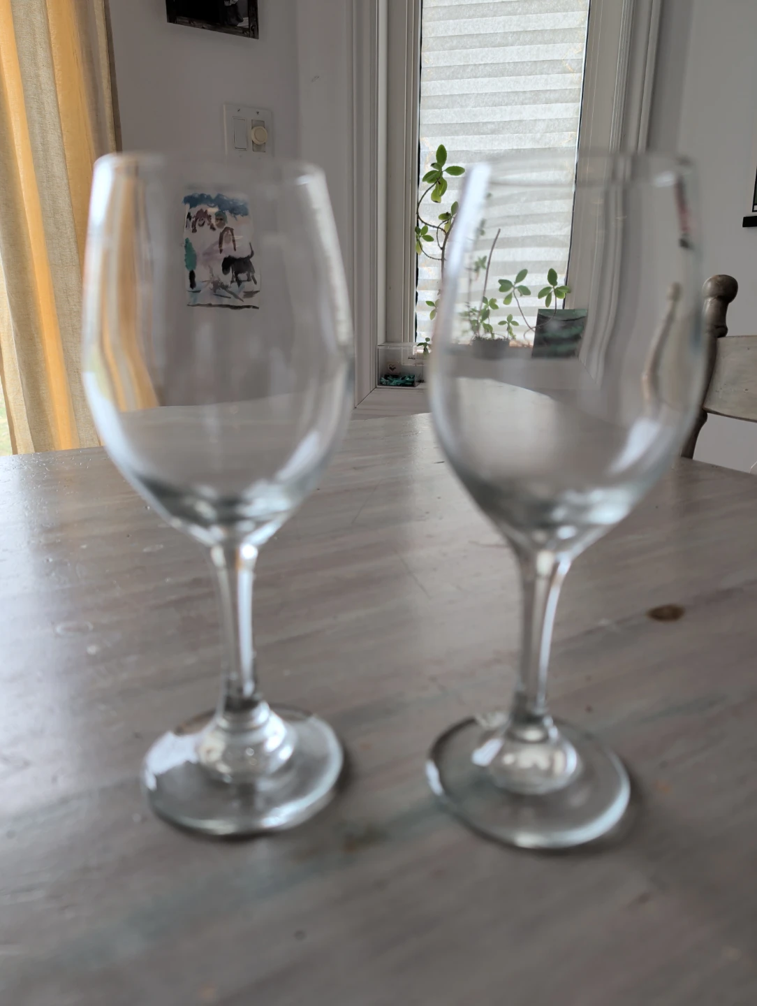 Set  Wine Glasses
