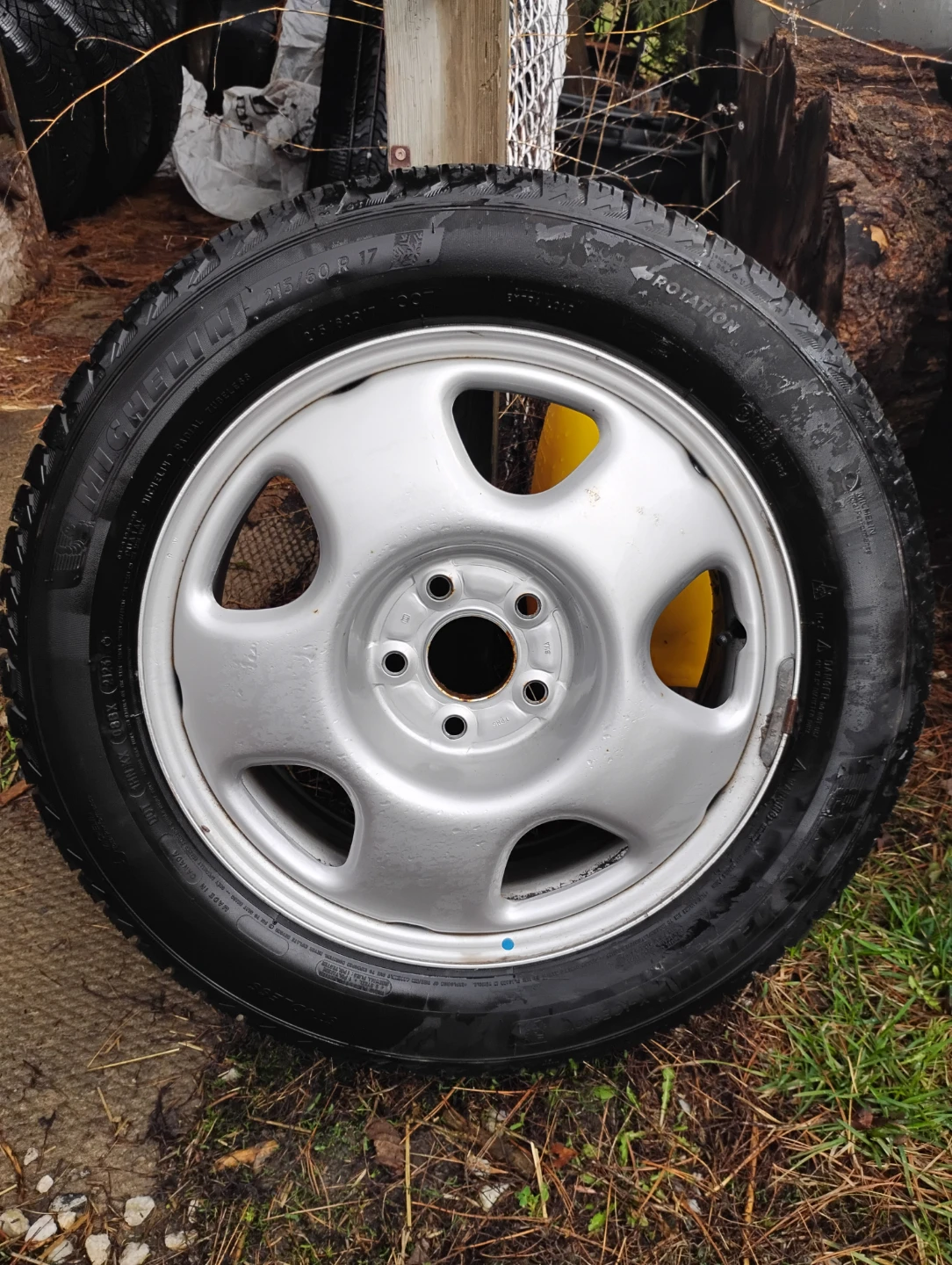 Michelin X-ice/Winter rims